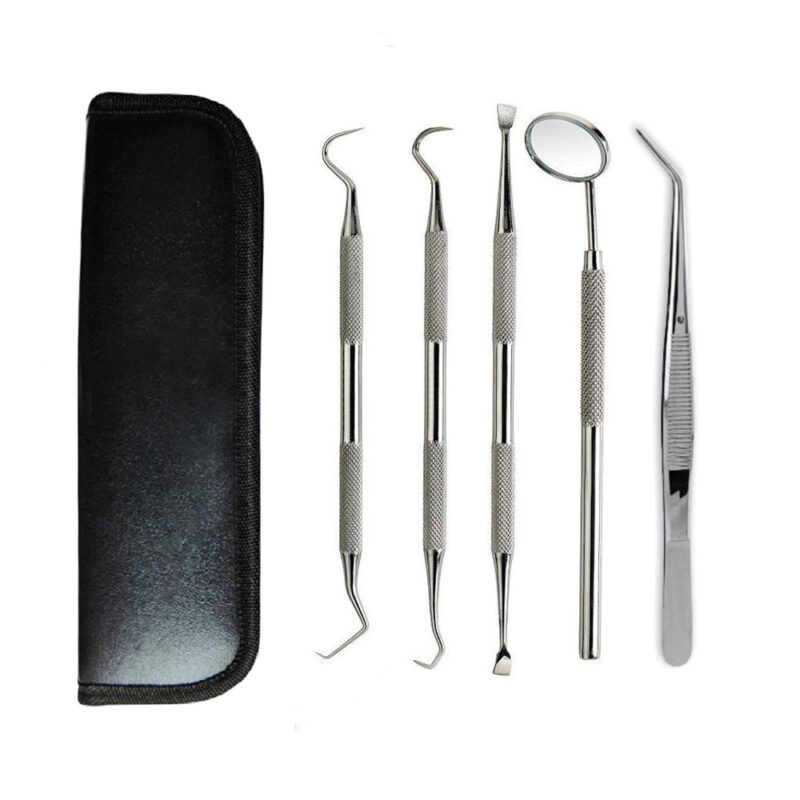 5-pcs Dental Hygiene Tools set